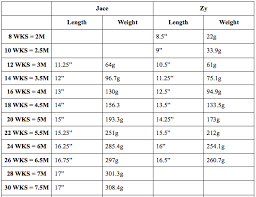 Cockatiel Feeding Chart Harrisons High Potency Organic