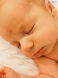 Brooklyn Thrasher Photography