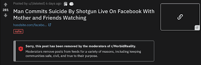 The Person Who Awarded The Wholesome Award On A Mans Livestreamed Suicide Cringetopia Awards are given by redditors to other redditors for their contributions. person who awarded the wholesome award