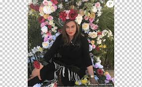 No pictures, no pictures, north continuously screamed at the shutterbugs. Floral Design Celebrity Baby Shower Beyonce Knowles Flower Arranging Artificial Flower Flower Png Klipartz