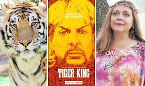 Netflix's true crime docuseries tells the true story of joe exotic maldonado,' former owner of greater wynnewood exotic animal park. Tiger King Netflix Star Carole Baskin S Ultimate Dream Exposed By Expert Tv Radio Showbiz Tv Express Co Uk