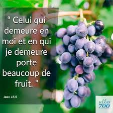 Je Suis Le Cep Vous Etes Les Sarments Celui Qui Demeure En Moi Et En Qui Je Demeure Porte Beaucoup De Fruits Car Parole Biblique Aimez Vos Ennemis Fruit