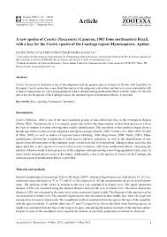 Pdf New Species Of Centris Paracentris Cameron 1903 From Northeastern Brazil With A Key For The Centris Species Of The Caatinga Region Hymenoptera Apidae Felipe Vivallo Academia Edu