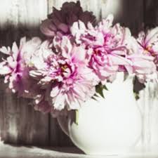 Primăvara este o sărbătoare la care participă toate elementele naturii așa că vă invităm să urmăriți o emisiune despre cele mai. Flori De Primavara Imagini Cu Flori De Primavara