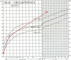 the value of head circumference measurements after 36 months