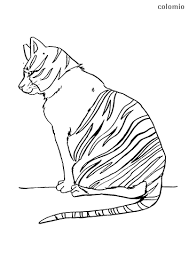 Use these images to quickly print coloring pages. Cats Coloring Pages Free Printable Cat Coloring Sheets