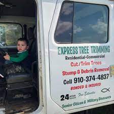 Tree removal, pruning, trimming, and stump grinding. Express Tree Trimming Home Facebook