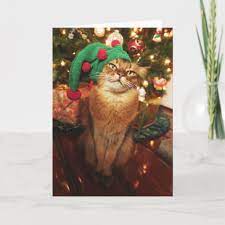 Santa S Elf Kitty Somali Cat Christmas Card Zazzle Com Cat Christmas Card Cat Themed Gifts Christmas Cats