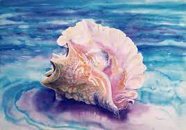 The conch shell is a spiritual symbol that has been used in many cultures throughout history. Caribbean Queen Queen Conch Shell Watercolor By Savanna Redman Shell Watercolor Watercolor Ocean Watercolor Sea