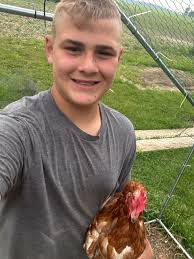 Eggs for sale 5/dozen at W5469 County Road A