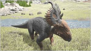 Pachyrhinosaurus - Ark: Survival Evolved Wiki