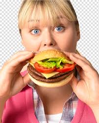 Layered burger transparent background PNG clipart