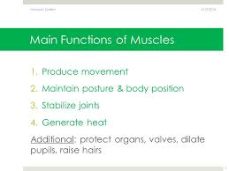 Match main eye structures to functions17p matchningsspel. Muscle Tissue Chapter 4 6 13 Muscular System Ppt Download