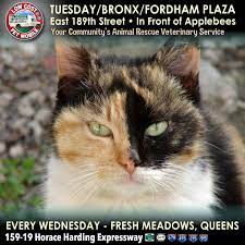 Low Cost Vet Mobile - Bronx Queens Veterinary Services Vets Animal Rescue