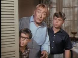My Three Sons Season 6 Episode 4 Robbie And The Chorus Girl 14 Oct 1965 William Demarest Chip Douglas Stanley Liv My Three Sons Actors William Demarest