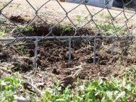 Learn how to keep your dog from digging under the fence with these simple and effective methods. Pin By Janine Jenista On Garden Dog Fence Dog Yard Dog Fences