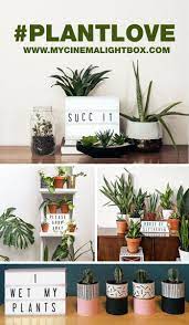 Baby bedding set cotton baby crib hang bag diaper bags cactus fox pocket toys storage organizer nursery baby room decor. Your Plants Can T Speak For Themselves So Let Us Help Plants Indoorplants Greenthumb Decor Homedecor Lightbox Cact Baby Laufstall Wickeltisch Pflanzen