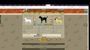 We did not find results for: How I Breed Dog Breeder Game Ep4 Youtube