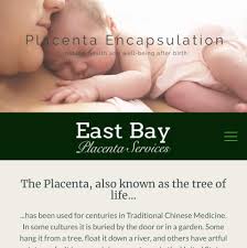 The Placenta Specialist / Doula / Artist / Mom | Alameda CA