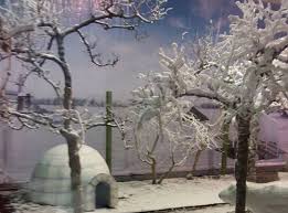 Rumah iklim empat musim di taman botani negara shah alam. Jom Main Salji Hanya Rm5 Di Shah Alam Dah Tau Ker