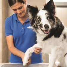 Maybe you would like to learn more about one of these? Petsmart 44 Photos 58 Reviews Pet Stores 171 N Nellis Blvd Las Vegas Nv Phone Number