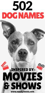 502 Unique Dog Names Inspired By Movies Tv Shows Needy Noses Dog Names Puppy Names Unique Best Dog Names