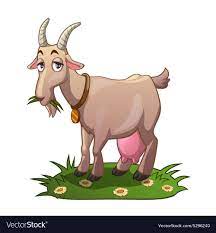 Funny Cartoon Goat On The Meadow Isolated On White Vector Illustration Download A Free Preview Or High Quality Ad Creepy Halloween Party Goats Funny Cartoon