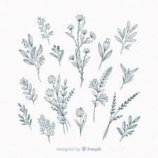 Plant Images Free Vectors Stock Photos Psd Scratch is a free programming language and online community where you can create your own interactive stories, games, and animations. plant images free vectors stock