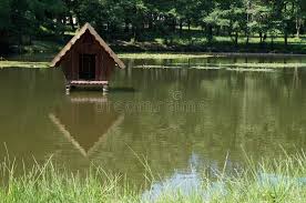 Ein kleines haus mit schönem grundstück am see. Kleines Haus Fur Enten Mitten In Dem See Stockfoto Bild Von Hintergrund Gras 73960498