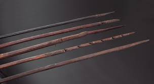 Jan 25, 2018 · professor ann mcgrath, director of the australian centre for indigenous history, said the aboriginal people greeted the settlers with spears raised but somehow capt phillip managed to signal he. Five Early Aboriginal Spears Artoceanic