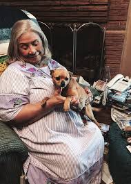 SUCCESS BY THE NUMBERS In FY 2016-2017 FINANCIALS WHO WE ARE Our Mission  Our Vision WHO WE ARE TexVetPets.org Memorial Gift Prog