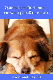 Quietschies Fur Hunde Ein Wenig Spass Muss Sein In 2020 Hunde Wolle Kaufen Spass