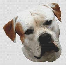 Über 7 millionen englischsprachige bücher. American Bulldog Cross Stitch Pattern