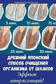 семена льна для похудения и очищения организма от шлаков Drevnij Yaponskij Sposob Ochisheniya Organizma Ot Shlakov Effekt Potryasayushij Health Remedies Health Remedies