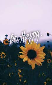 11 Beautiful Sunflower Wallpaper For Iphone Sunflower Iphone Wallpaper Sunflower Wallpaper Flower Quotes