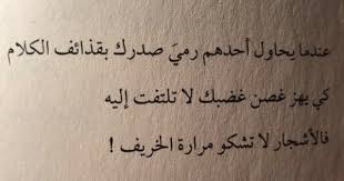 اقتباسات من تصويري ما معنى ان تكون وحيدا فهد العودة Family Quotes Truths Quran Quotes Inspirational Words Quotes