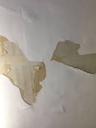 Paint Peeling Fix On A Budget What Would You Do Home Repair Paint Repair Home Repairs