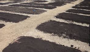 Find the right products to help you complete…. Willits Gardens Project North Opportunities