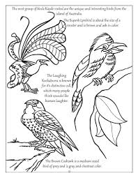 In total we have 42 coloring pages in brawl stars. Online Coloring Pages Coloring Page Birds Of Different Types Birds Download Print Coloring Page