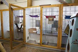 Maybe you would like to learn more about one of these? Kitty Kennels Near Me Off 51 Www Usushimd Com