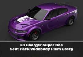 Image result for Plum Crazy 2023 Chrysler