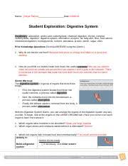 Mp3408 body systems circulatory answer key. Gizmo Instructions And Questions Docx Gizmo Warm Up The Digestive System Is A Group Of Organs That Does Three Things First The Digestive System Breaks Course Hero