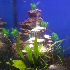 Kanki Petshop Akvaryum Kum Selalesi Dk 5516 Ucretsiz