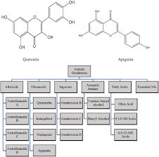 Image result for Justicia tenella