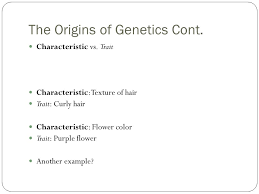 Hair form is genetically controlled, explains professor erik trinkaus from washington university in st. Section 1 The Origins Of Genetics Section 2 Mendel S Theory Section 3 Studying Heredity Section4 Complex Patterns Of Heredity Chapter 8 Mendel And Ppt Download