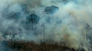 Jump to navigation jump to search. Bbc World Service The Real Story Who Owns The Amazon