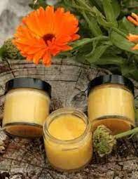 Calendula Salve Ingredients 21 Fresh Heads Of Young Calendula Flowers 600ml Of Olive Oil Preferably Organic Extra Vi Salve Recipes Calendula Salve Herbalism
