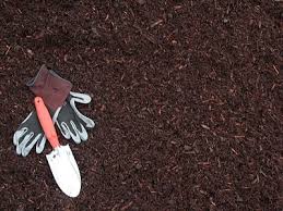 What kinds of bark dust are there? Bark Mulch Chips Portland Or Best Buy In Town Landscape Supply