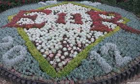 Check spelling or type a new query. Bedding Plants Carpet Bedding Garden History Garden Consultant