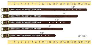 Folge deiner leidenschaft bei ebay! 3 4 In Mendota Hunt Dog Leather D End Puppy Small Dog Collar 19 99